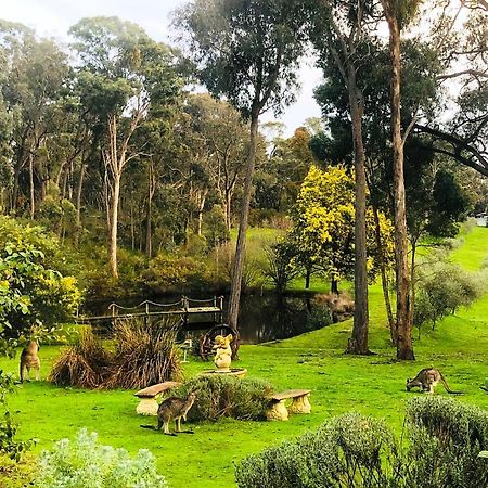 Countryside Retreat Romantic Tranquil Native Wildlife Township Hepburn - Daylesford 赫本温泉 外观 照片
