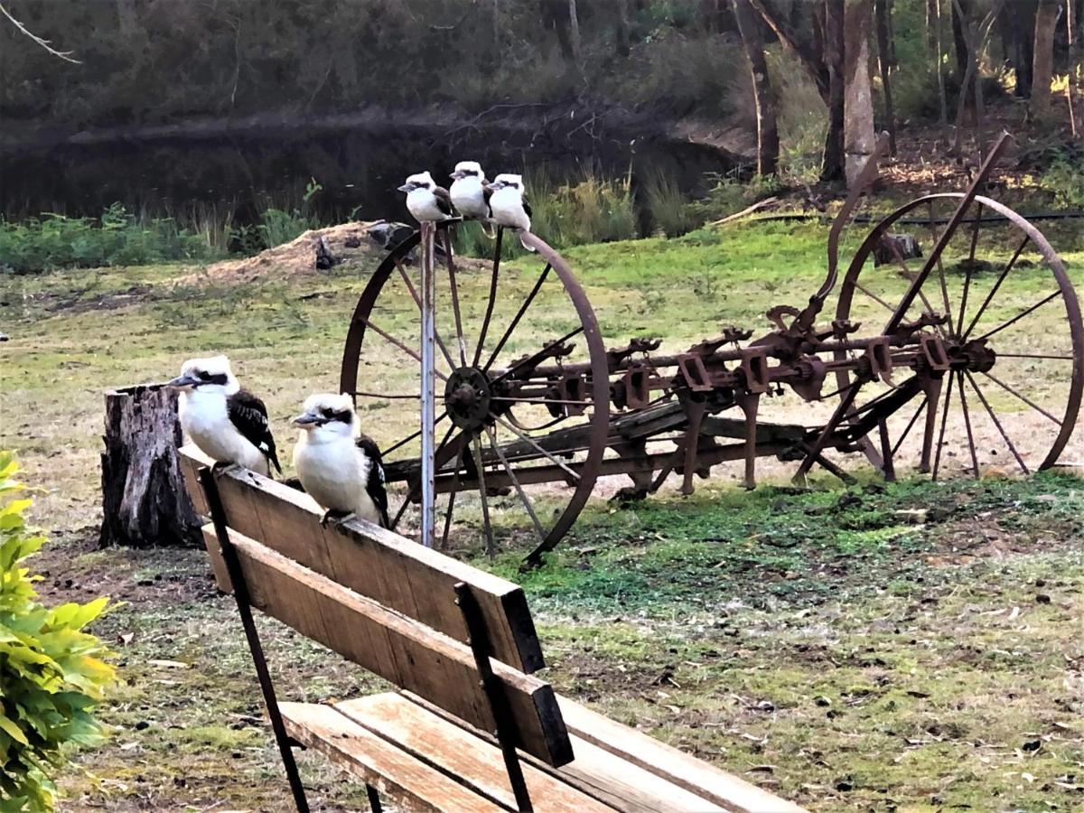 Countryside Retreat Romantic Tranquil Native Wildlife Township Hepburn - Daylesford 赫本温泉 外观 照片