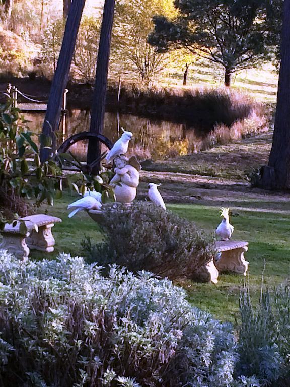 Countryside Retreat Romantic Tranquil Native Wildlife Township Hepburn - Daylesford 赫本温泉 外观 照片