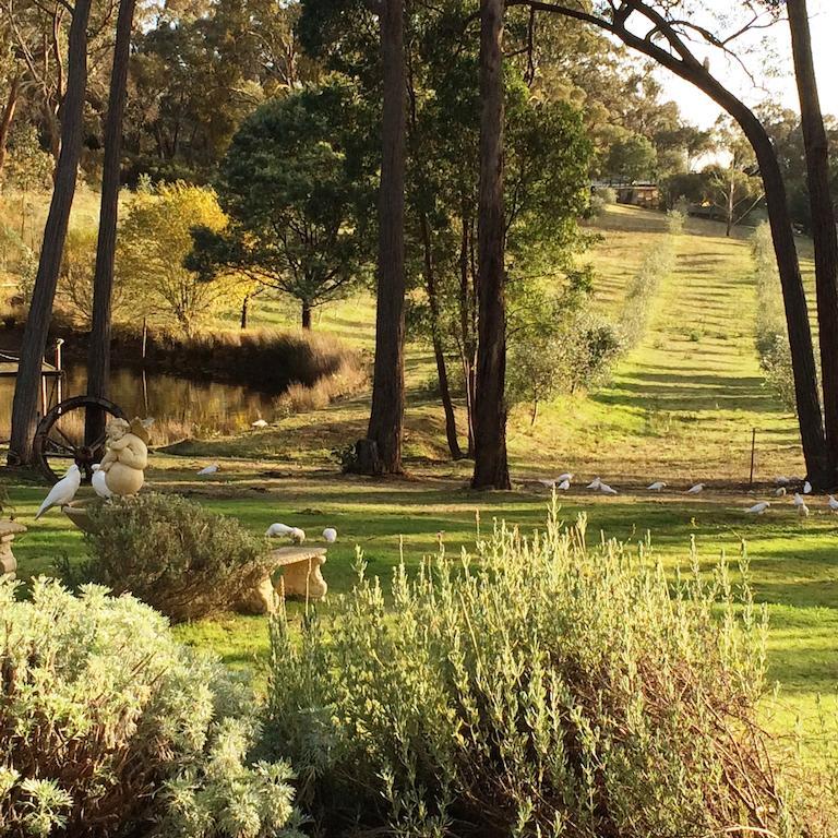 Countryside Retreat Romantic Tranquil Native Wildlife Township Hepburn - Daylesford 赫本温泉 外观 照片