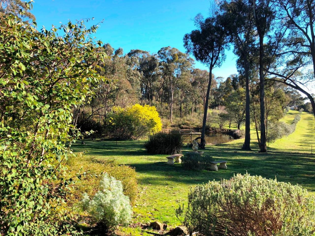 Countryside Retreat Romantic Tranquil Native Wildlife Township Hepburn - Daylesford 赫本温泉 外观 照片
