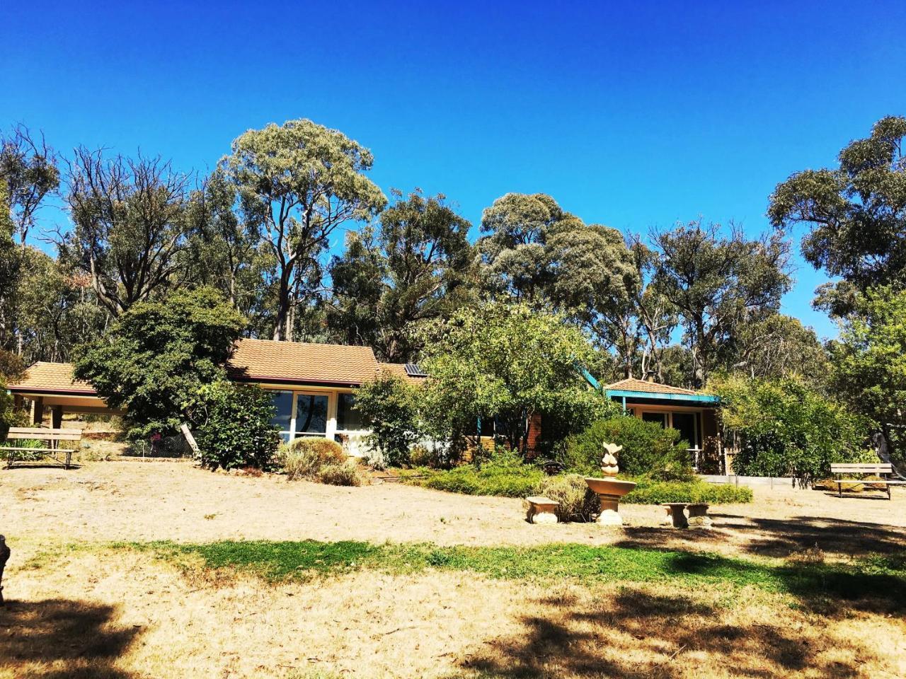 Countryside Retreat Romantic Tranquil Native Wildlife Township Hepburn - Daylesford 赫本温泉 外观 照片