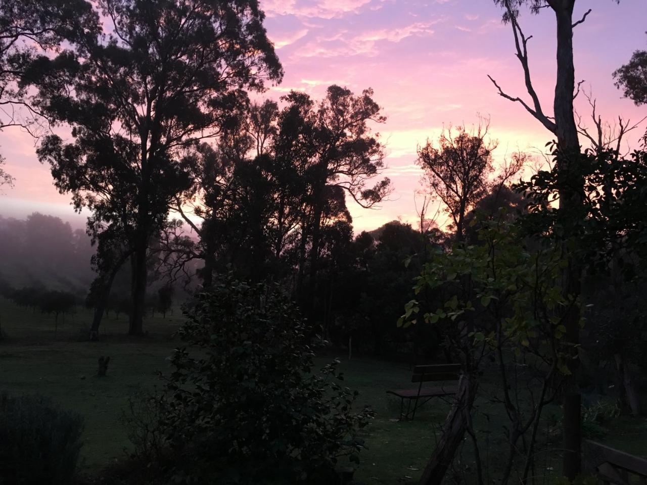 Countryside Retreat Romantic Tranquil Native Wildlife Township Hepburn - Daylesford 赫本温泉 外观 照片