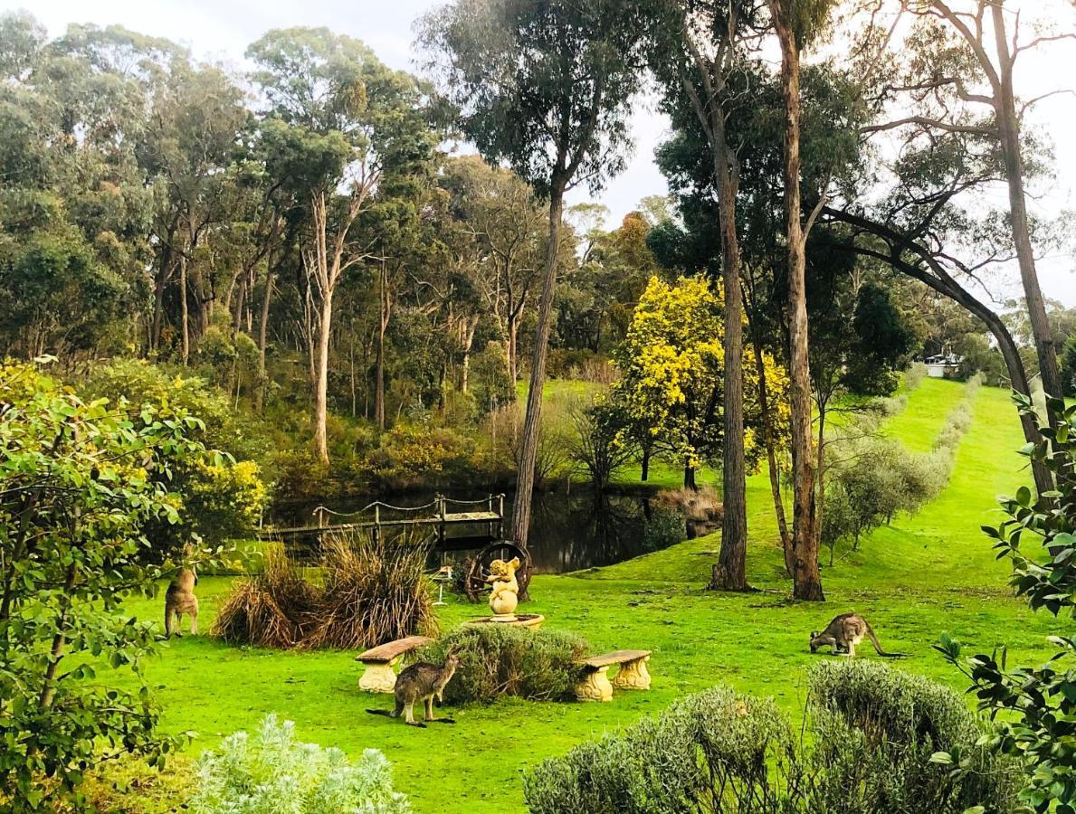 Countryside Retreat Romantic Tranquil Native Wildlife Township Hepburn - Daylesford 赫本温泉 外观 照片